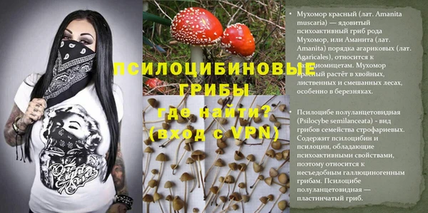 синтетический гашиш Абинск