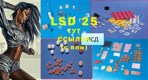 хмурый Абаза