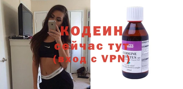 хмурый Абаза
