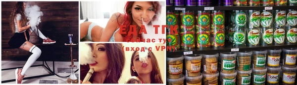 хмурый Абаза