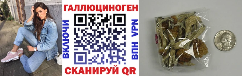 Галлюциногенные грибы Cubensis  гидра tor  Белореченск 